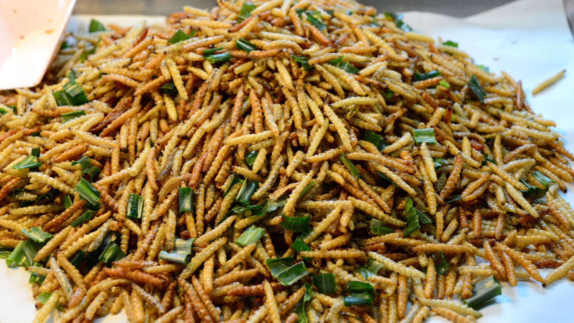 Swedish Govt Spends Millions Telling Citizens To Eat Insect 