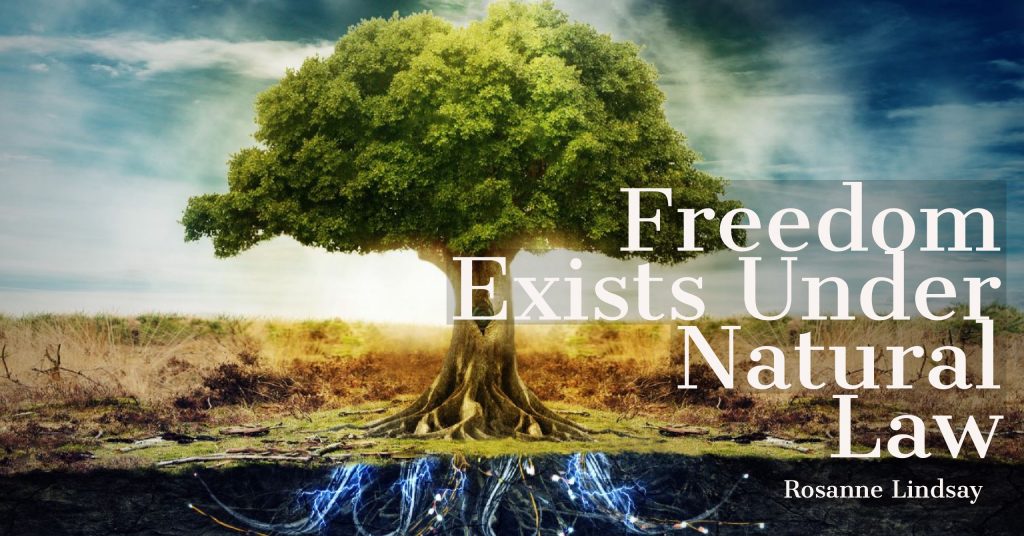 freedom-exists-under-natural-law