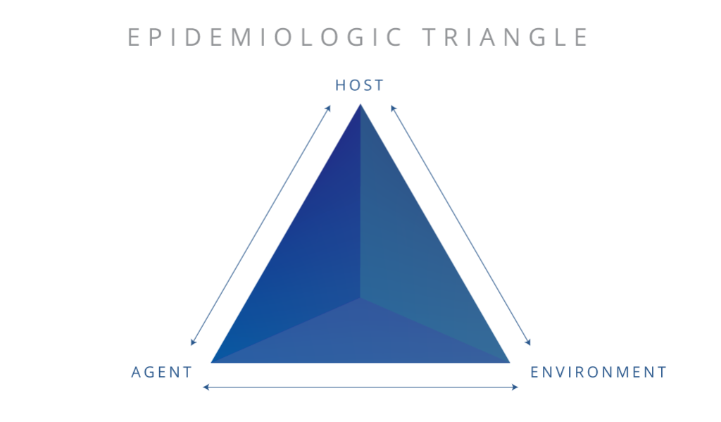 what is the epidemiologic triangle