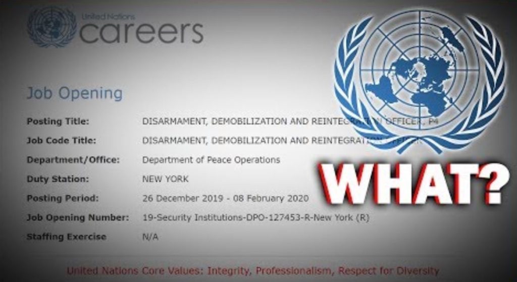 The United Nations Job Application That Should Alarm EVERYONE