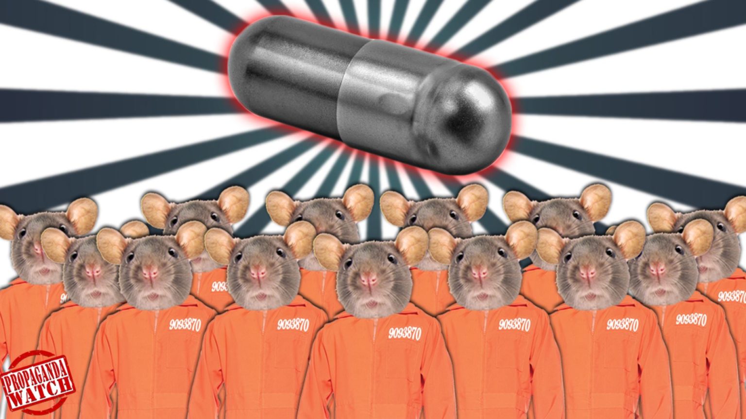 rat utopia experiment