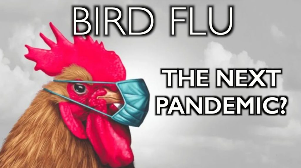 BIRD FLU the Next Pandemic? Activist Post