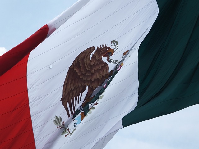 Flag Mexico 1