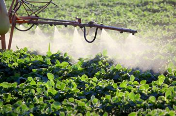 Herbicide-Plant-Spray-Crops-Poison