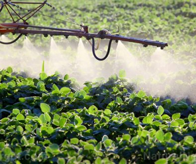 Herbicide-Plant-Spray-Crops-Poison