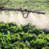 Herbicide-Plant-Spray-Crops-Poison