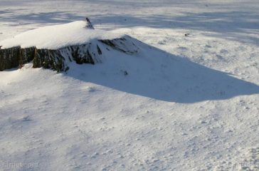 Snow-Winter-Tree-Stump