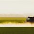 glyphosate-agriculture-human-health