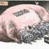 Pig-Congress