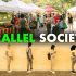 parallel-societies